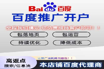 某企业通过SEM实现品牌与销售双增长的案例